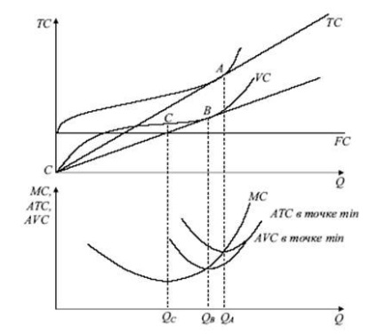 Costurile economice și contabile (curba corespunde volumului) Costurile contabile și economice