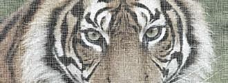 Schimbarea culorii părului în Photoshop (păr) Schimbarea culorii părului în Photoshop