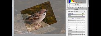 Schimbarea culorii părului în Photoshop (păr) Schimbarea culorii părului în Photoshop