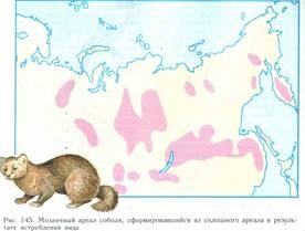 Izolatia - factori de evoluție (evolutiv) Izolație - factor evolutiv