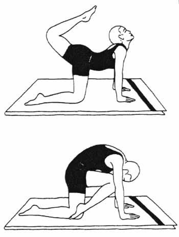 Yoga pentru mame care alăptează video, fotografie, tehnologie (video de yoga de îngrijire medicală la mama) Yoga pentru mame care alăptează video, fotografii, arta