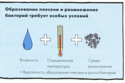 Cum sa scapi de mucegai negru pe pereții de metode de eliminare (pentru a scăpa de cauze de perete mucegai negru de aspectul de ciuperca) Cum sa scapi de mucegai negru pe pereții de metode de eliminare