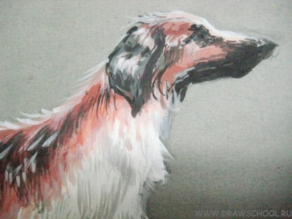 Cum de a desena un câine (câine), vopsele (în etape) Cum de a desena un câine (hound) vopsele