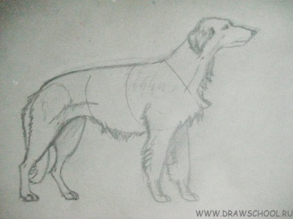 Cum de a desena un câine (câine) vopsele (vopsele alte materiale) Cum de a desena un câine (hound) vopsele