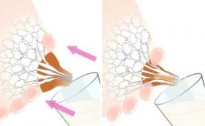 Cum de a câștiga în mod corect peste laptele matern