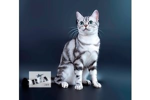 Cum să supraviețuiască moartea sfatul pisica unui psiholog, asistent felină (pentru a supraviețui) Cum să supraviețuiască moartea sfaturi psihologice pisică, asistent felin