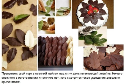 Cum se toarnă tort de ciocolata (ciocolata) Cum se toarnă tort de ciocolata