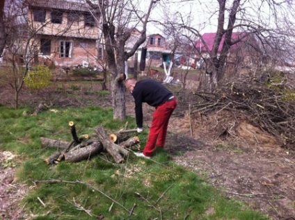 Ca ordonat porțiune abandonată (porțiunea abandonată) Cum să curețe terenurile în paragină