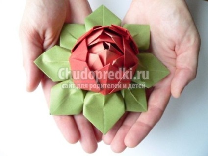 Cum de a face origami flori (flori) Cum de a face origami flori