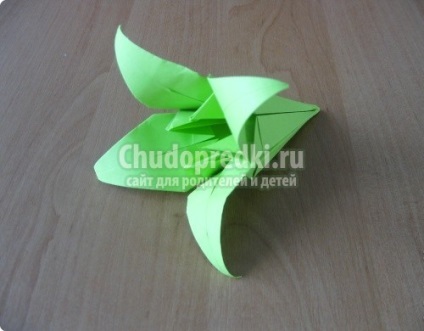 Cum de a face origami flori (flori origami cum se face) Cum de a face origami flori