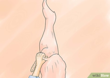 Cum de a jupui un iepure (ascunde) Cum de a jupui un iepure