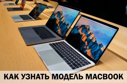 Cum pot găsi modelul MacBook (modul de a găsi aer modelul MacBook macbook pentru a verifica numărul de serie) Cum pot găsi modelul MacBook