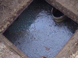 Cum de a curăța cloaca cu mâinile lor (curăța cloaca cu mâinile) Cum de a curăța cloaca cu mâinile lor