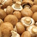 Cum se murarea rapid de stridii și gustoase (stridii) Cum se murarea stridii rapid și gustos