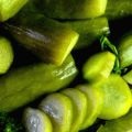 Cum se murarea rapid de stridii și gustoase (murături) Cum se murarea stridii rapid și gustos
