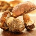 Cum se murarea rapid de stridii și gustoase (rapid) Cum se murarea stridii rapid și gustos