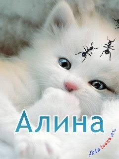 poze Alina, poze cu numele (Alina) poze Alina, poze cu nume