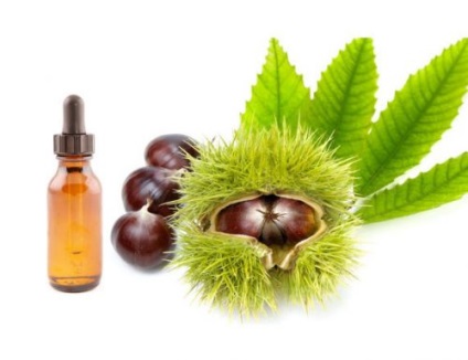 Chestnut - proprietăți utile și contraindicații (castan) Chestnut - proprietăți utile și contraindicații