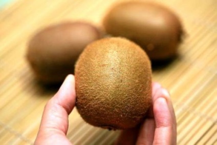 Kiwi alăptarea dacă alăptează mama lui este (poate fi) Kiwi care alăptează, dacă mama care alăptează este,