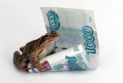 Cine și ce broscoi ștrangulare (gurma) Cine și ce ștrangulare Toad