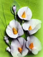 Conturul Kvilling (quilling) contur Quilling