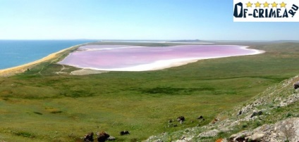 Koyashskoe (roz) lac din Crimeea - un comentariu cu fotografii, care se află pe hartă (foto) Koyashskoe (roz) lac din Crimeea - un comentariu cu fotografii, care se află pe hartă