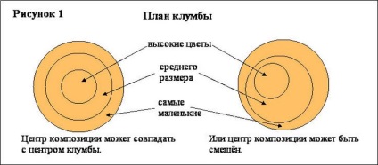 paturi de flori frumoase de gălbenele, organigramele și sfaturi