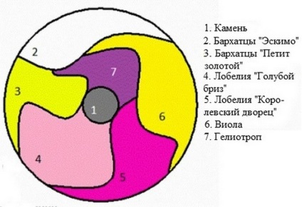 paturi de flori frumoase gălbenelelor, scheme și Consiliului (gălbenele) paturi de flori frumoase de gălbenele, organigramele și sfaturi