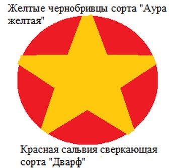 paturi de flori frumoase gălbenelelor, scheme și Consiliului (gălbenele) paturi de flori frumoase de gălbenele, organigramele și sfaturi