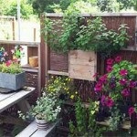 gard ieftin frumos pentru a da 40 fotografie (cabane) gard ieftin frumos pentru gradina 40 de fotografii