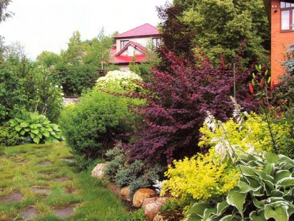 grădină frumoasă, cu propriile sale mâini (grădină frumoasă) grădină frumoasă, cu propriile sale mâini