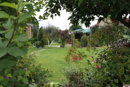 Frumoasa grădină Tatyany Kretovoy (grădină frumoasă) Frumoasa grădină Tatyany Kretovoy