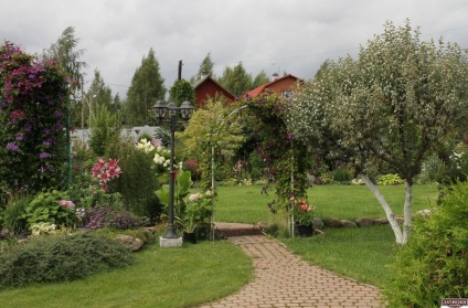 Frumoasa gradina Tatyany Kretovoy (gradinari sfaturi) Frumoasa grădină Tatyany Kretovoy