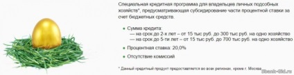 Credit pentru micii proprietari în banca de economii (de credit) Credit pentru micii proprietari în Banca de Economii