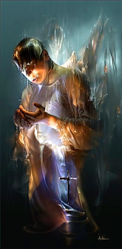 Angel Wings (înger) aripi de înger