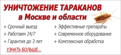 În cazul în care a făcut gândacii de ce au dispărut din orașele mari și în cazul în care a făcut (ceea ce sa întâmplat de ce gandaci a dispărut din orașele mari, unde stânga) În cazul în care a făcut gândacii de ce au dispărut din orașele mari și în cazul în care a făcut