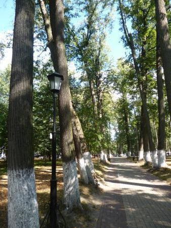 În cazul în care pentru a merge în Kaluga, relaxați-vă și să se distreze (unde) În cazul în care pentru a merge să se relaxeze și să se distreze Kaluga