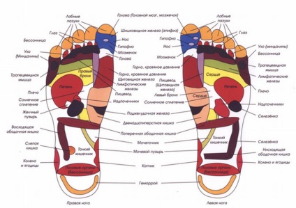 Cumparati tencuiala pe picior picior de patch-uri, comentarii, instrucțiuni de acțiune (patch-uri pe plasture picior picior) Cumparati tencuiala pe picior picior opinii de patch-uri, instruire, impact