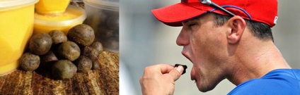 Tratamentul psoriazisului cu propolis, miere, polen și alte produse apicole (polen) Tratamentul psoriazisului cu propolis, miere, polen și alte produse apicole