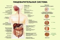 Tratamentul chagoy stomacului (ciuperci preparare bulion) Tratamentul chagoy stomacului