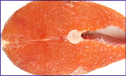 Salmon (culoare) culoare somon