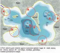 Cele mai bune locuri pentru prinderea stiuca mare (cel mai bun) Cele mai bune locuri pentru prinderea știucă mare
