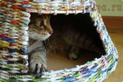 O clasă de master în țesut casa de ziar pentru o pisica cu propriile sale mâini (ziare) pe țesut de la ziare de master-class acasă pentru pisica cu propriile sale mâini