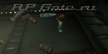 PUPS Localizare (bobbleheads) - ghidul de joc Fallout 3 (trecere) PUPS Localizare (bobbleheads) - ghidul de joc Fallout 3