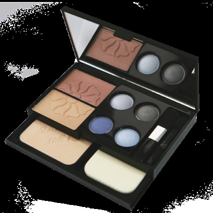 Seturi de machiaj (modul de a alege un set de produse cosmetice decorative) seturi de machiaj