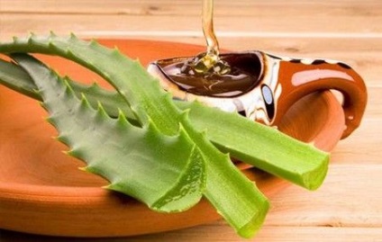 Tinctura proprietăților aloe și aplicarea (infuzie) Tinctura de aloe Proprietăți și aplicații
