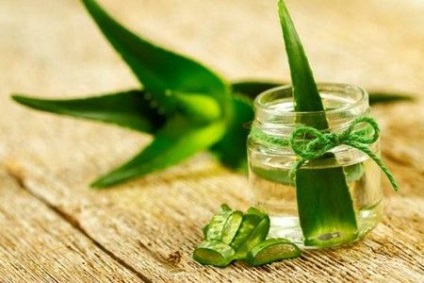 Tinctura proprietăților aloe și aplicații (aloe) Tinctura de aloe Proprietăți și aplicații