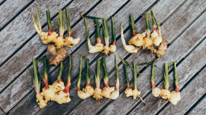 Natural înseamnă migrenă (linguriță de ghimbir) Un remediu natural pentru migrena