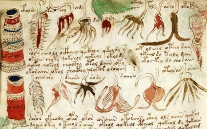 cifrurile nerezolvata lume secreta (Rongo) cifruri neelucidate, lumea secretă