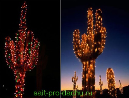 Crăciun cactus în loc de un pom de Crăciun (cactuși) Crăciun cactus în loc de un pom de Crăciun